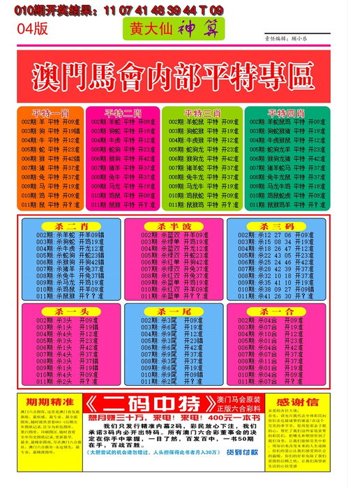 黄大仙澳门最精准正最精准,扩展性的落实策略_BWB9.42.22亲和版