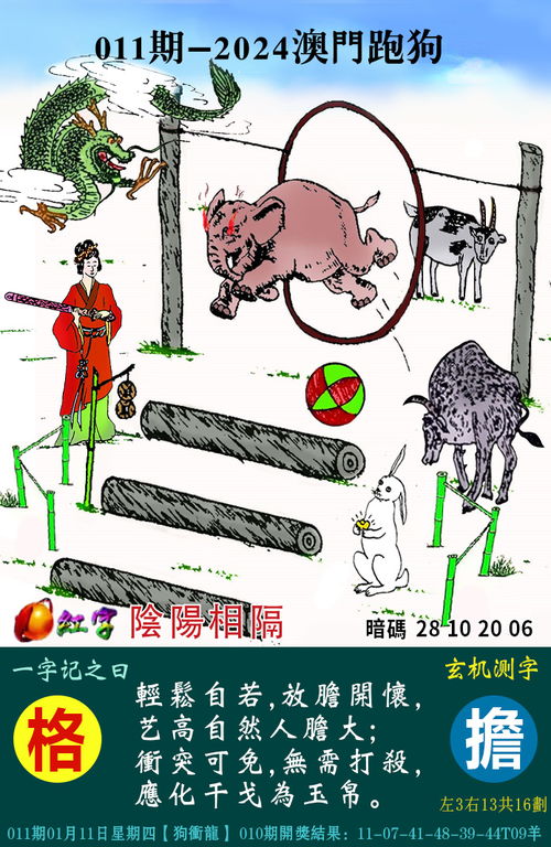 zhangchibuding 第11页