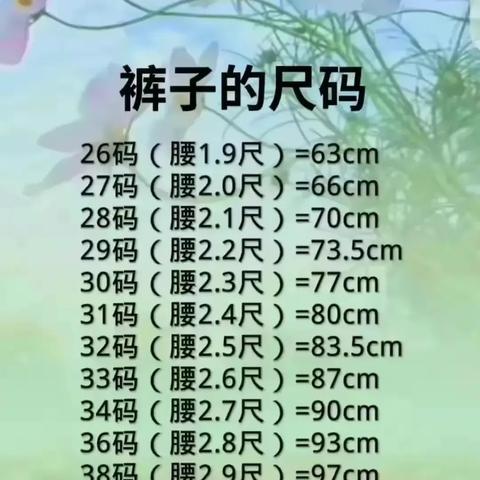2025十二生肖49个码,觉察解答解释落实_NNB2.24.81专用版