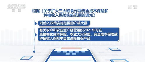 fengaojigui 第11页