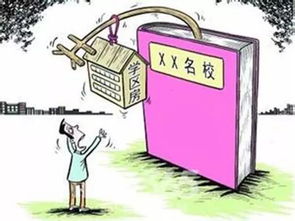 7777788888管家婆故乡：往年11月19日的数据真实解析_SPL7.37.60通用版