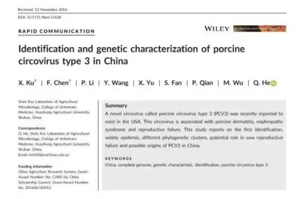 免费提供新澳精准资料的网站，实验解析与解答计划_MCT3.15.95抗菌版