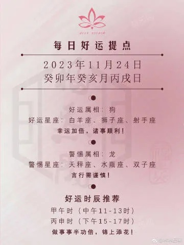2025年每日好运资料，11月19日智慧解析方案执行_IHX8.78.93铂金版