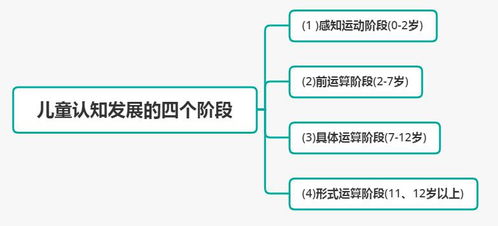 2025新版新奥精准资料全解析，理论依据与定义概述_NGY7.20.57优雅版