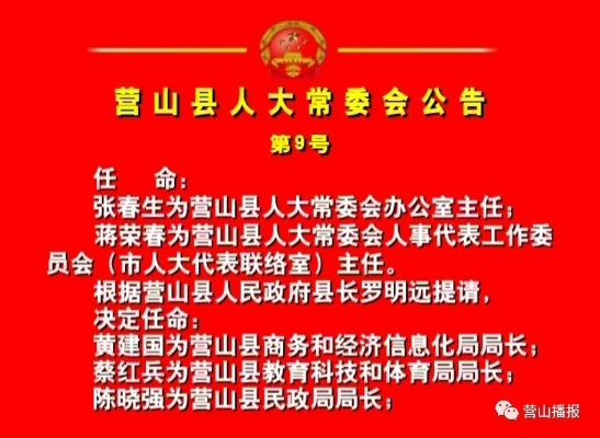 揭秘2025年营山县政府新阵容——最新政府人员名单解析（附详细名单），希望符合您的要求，您还可以根据实际情况进行调整。
