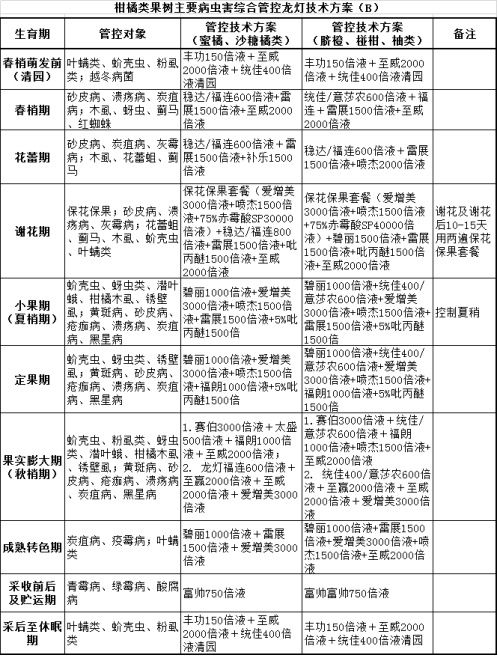 2025新澳最精准资料大全326期,谋略解答解释落实_XBW4.72.35通玄境