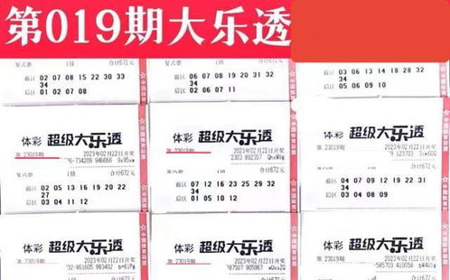 2025天天彩正版免费资料,实地说明解析_JGC3.41.40品牌版