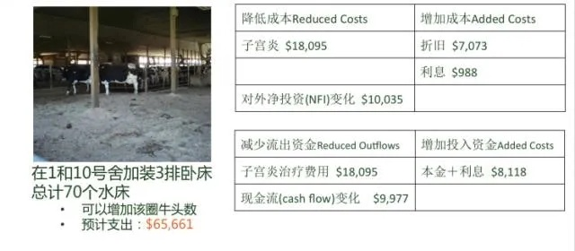 2025新奥正版资料大全,安全设计方案评估_PGB2.23.21改进版
