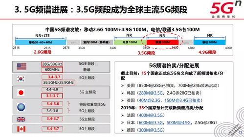澳门六开奖结果2023开奖记录查询网站,高效分析解答解释_TSM1.59.46解题版