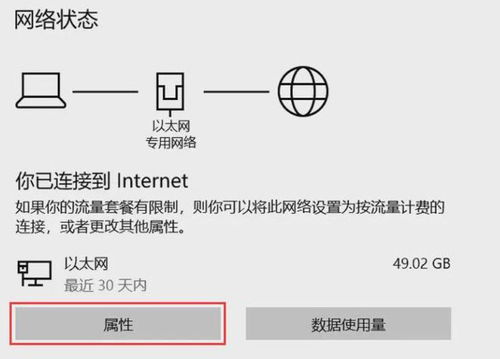 2025特马今晚开奖,严实解答解释落实_PPR1.62.84Allergo版(意为轻快)