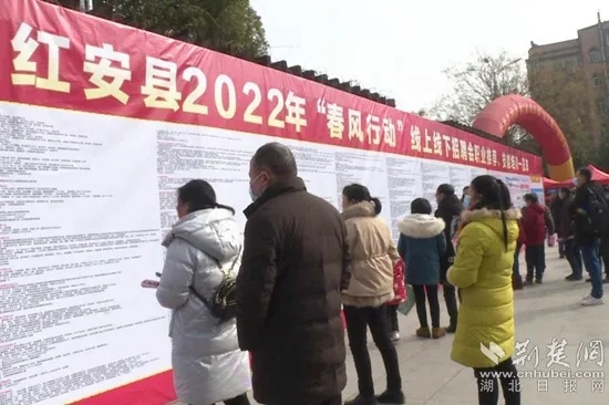 2025年红安县大型人才招聘盛况，最新岗位发布与深远影响