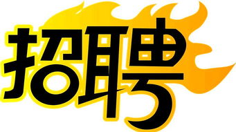 11月最新招聘求职攻略，初学者与进阶用户通用，成功应聘心仪职位指南