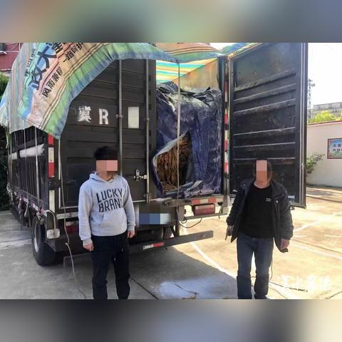湖北襄阳欧庙最新图片探索，11月美景欣赏与获取指南