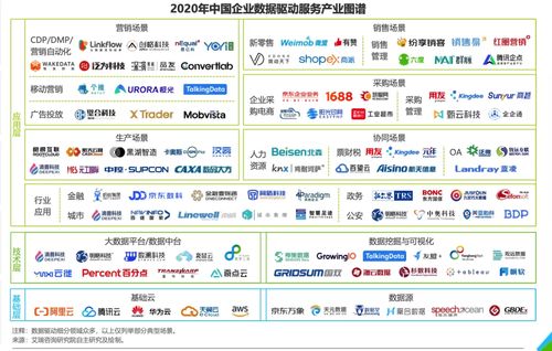 2025澳门天天开好彩大全正版优势评测,成长路径解析落实_学习版WTR8.57