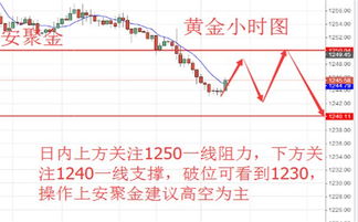 新澳门开奖历史记录走势图表,最新趋势方案解答解释_原创性版IET5.43