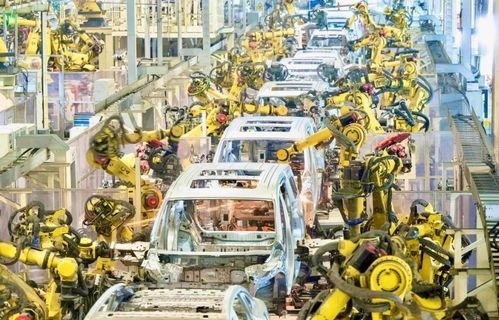 2025年11月22日亳州白术最新收购价格动态及分析