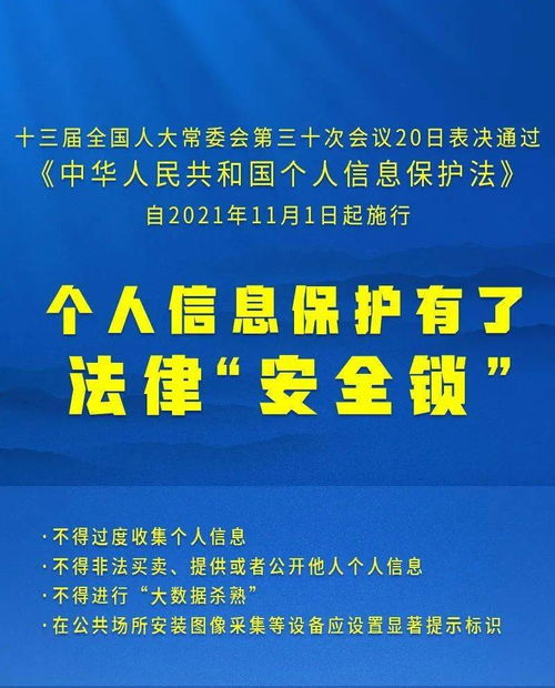 2025新奥正版资料最精准免费大全,解析解释说法_IQP5.10