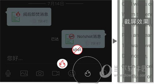 2025管家婆一码一肖资料,安全性方案执行_DSA5.75