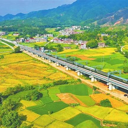 历史上的11月22日，兴泉铁路最新进展深度论述及其影响分析