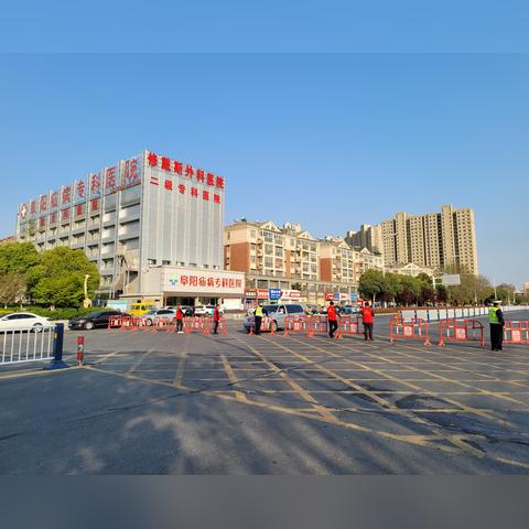 历史上的11月22日阜阳疫情回顾，背景、事件与影响最新报告