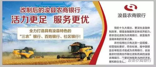 2025新澳门天天开好彩329期,农业机械化与电气化_KQL8.71