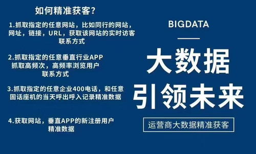 dazhangqigu 第10页