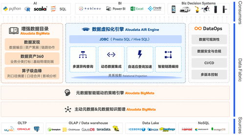 2025新澳精准正版资料331期,实地验证策略数据_WKA7.48