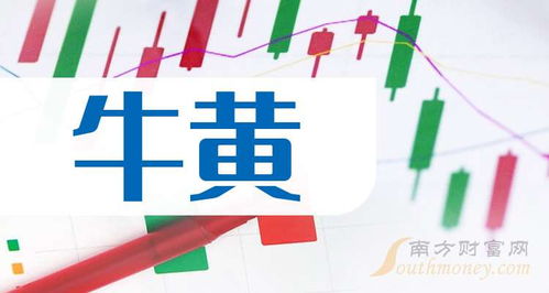 北京教育新风尚，一缕暖阳下的成长故事揭秘，最新消息发布于2025年11月22日