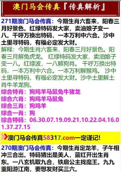 马会传真资料2025澳门,高效运行支持_RCR5.35