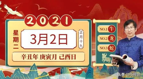 2025特马今晚开奖,全面设计实施_XJC5.71