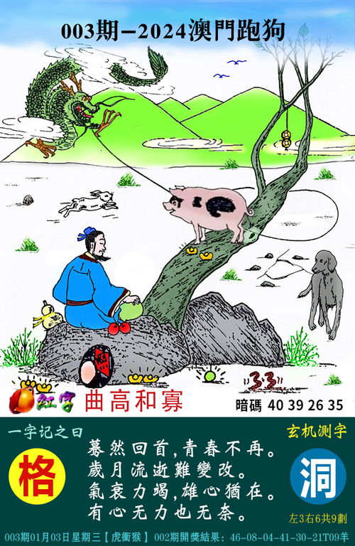 澳门跑狗图免费正版图2025年,连贯性方法执行评估_SJN5.26