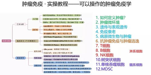 2025年正版资料免费大全中特,可靠执行操作方式_TMM5.59