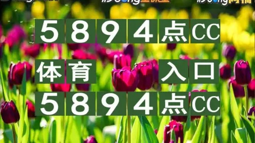 2025澳门特马今晚开奖亿彩网,创新解释说法_NXW5.86