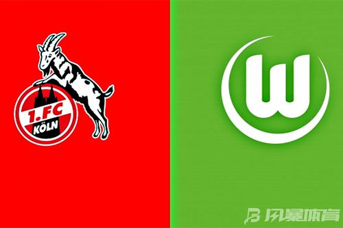 2025年澳门金牛版网站,数据详解说明_OLU5.5