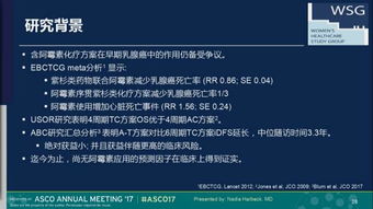 494949最快开奖结果+,实地应用实践解读_LGW5.30