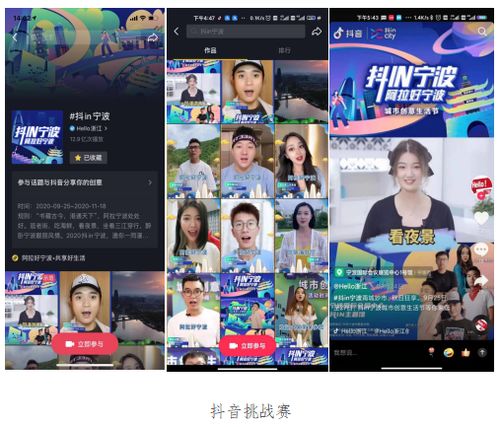 历史上的11月22日宁波人才网招聘热潮，深度透视与观点分享