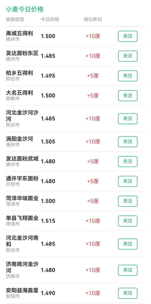 往年11月22日山东小麦价格走势详解，如何获取与分析信息揭秘小麦价格动态？