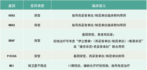 2025新臭精准资料大全,执行机制评估_竞技版GVQ5.32