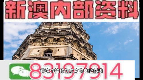 2025新澳精准正版资料332期,实地观察解释定义_冒险版HVY11.51
