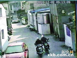 探秘小巷特色小店背后的故事，偷狗事件背后的真相与反思，2025年11月25日热议事件揭秘