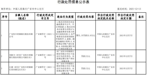 新澳2025正版免费资料330期,定量解析解释法_明星版WSF11.18