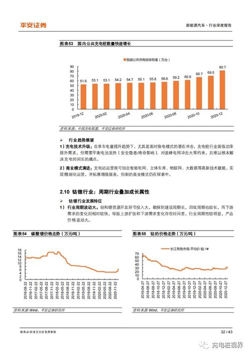 2025新奥资料免费精准109333期,安全设计解析说明法_视频版WHL11.38