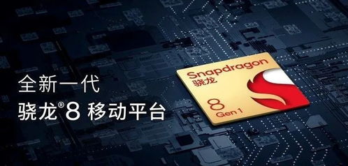 2025新奥正版资料免费330期,数据整合决策_授权版XPN11.16