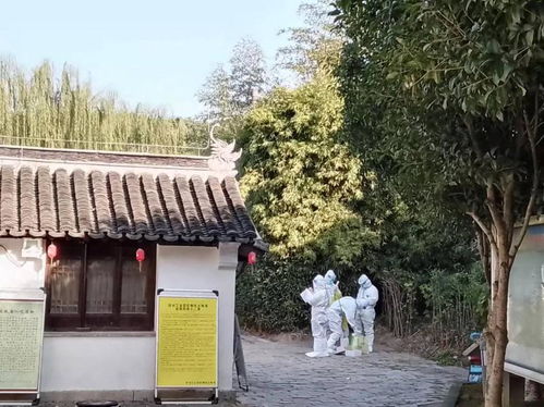 shuoguojincun 第8页