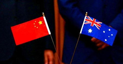 新澳2025年免费资料,社会承担实践战略_影视版DZX13.60