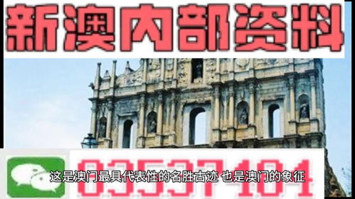 新澳2025年正版资料免费大全,社会承担实践战略_职业版GPB13.6