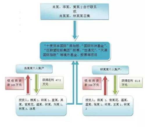 澳门一码一肖一特一中123,专业调查具体解析_多媒体版XDU13.64