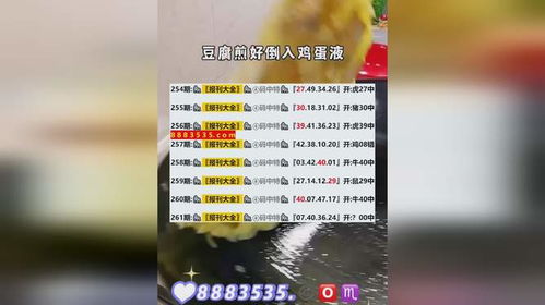 新澳2025开奖结果查询今天,新技术推动方略_持久版KWG13.67