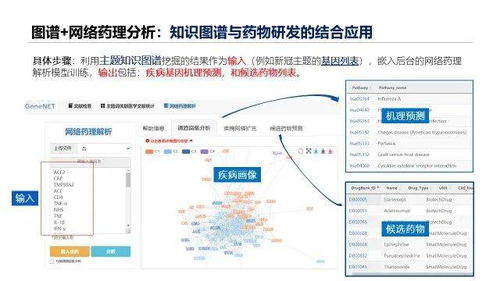 新澳天天开奖资料大全最新5,创新策略设计_影像版LEB7.4