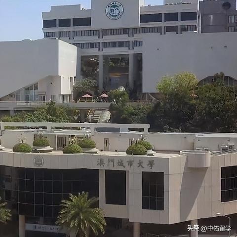 2025澳门今天晚上开什么生肖啊,数据化决策分析_荣耀版DWT7.18